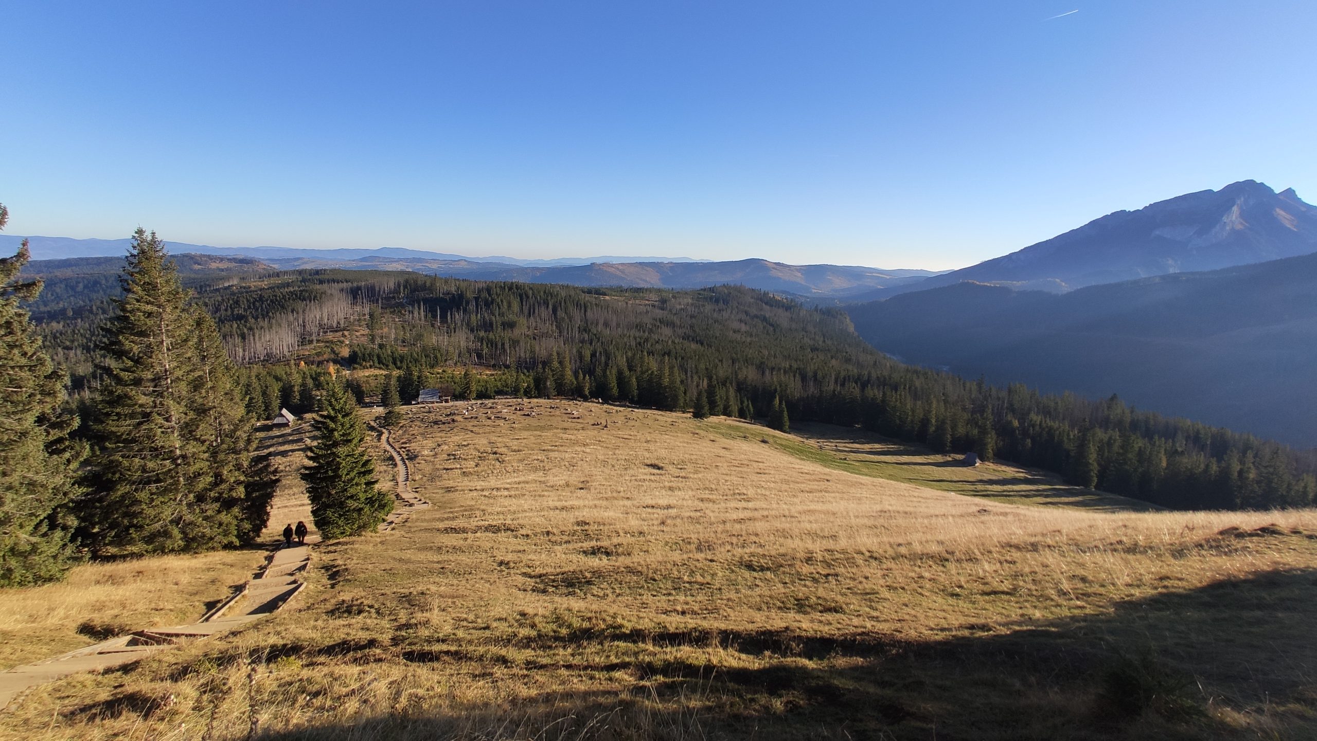 Rusinowa Polana z widokiem na Tatry Wysokie pod koniec października