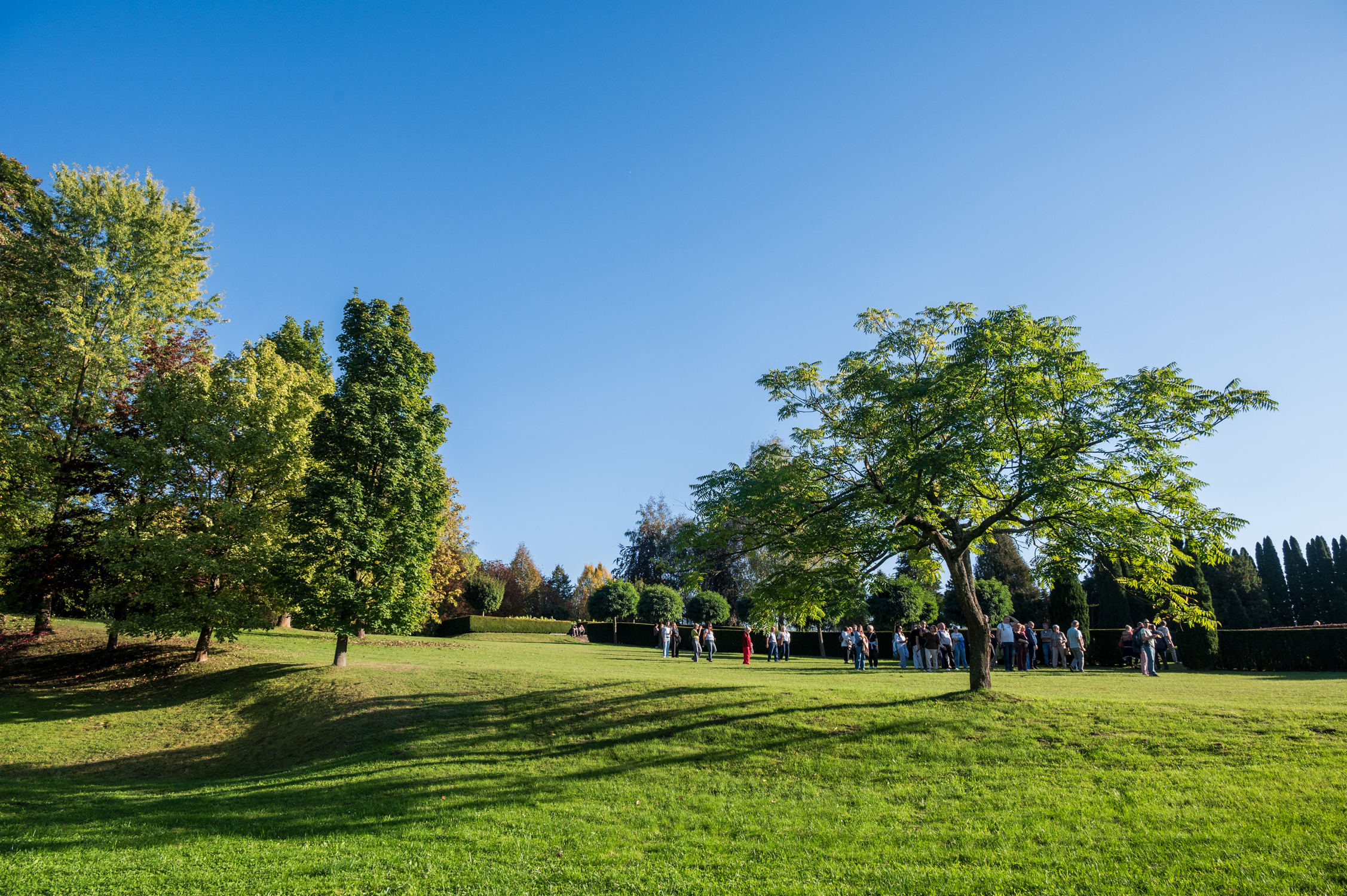 Jesień w Arboretum Krzysztofa Pendereckiego – drzewa i krzewy w kolorach jesieni