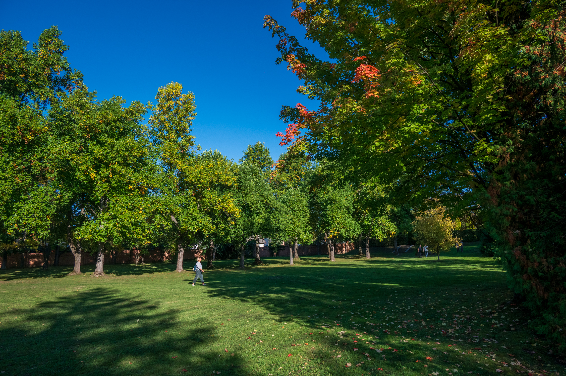 Zwiedzanie Arboretum Krzysztofa Pendereckiego w Lusławicach jesienią