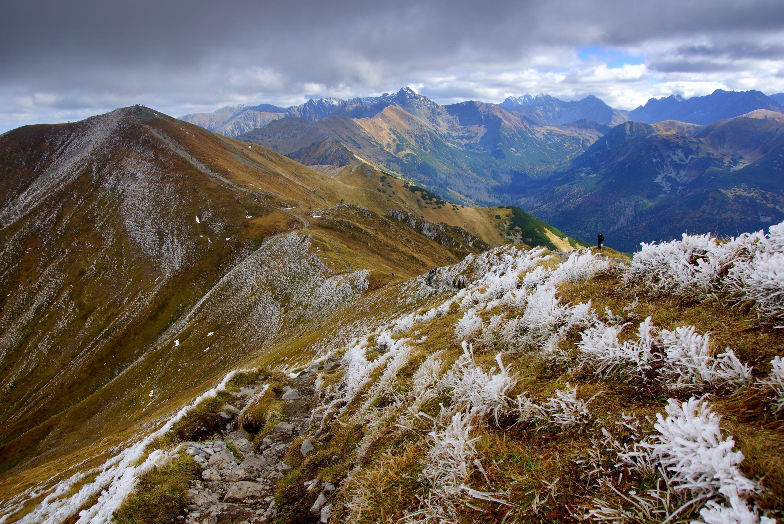 First frost on the grass of the Czerwone Wierchy ridge trail in October, Tatra Mountains