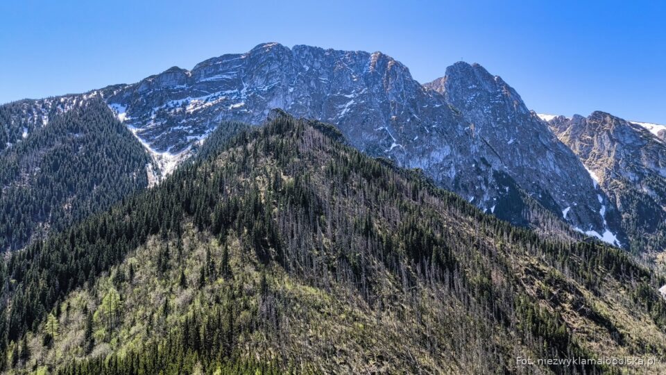 The massive rock wall of Giewont seen from Sarnia Skała viewpoint near Zakopane