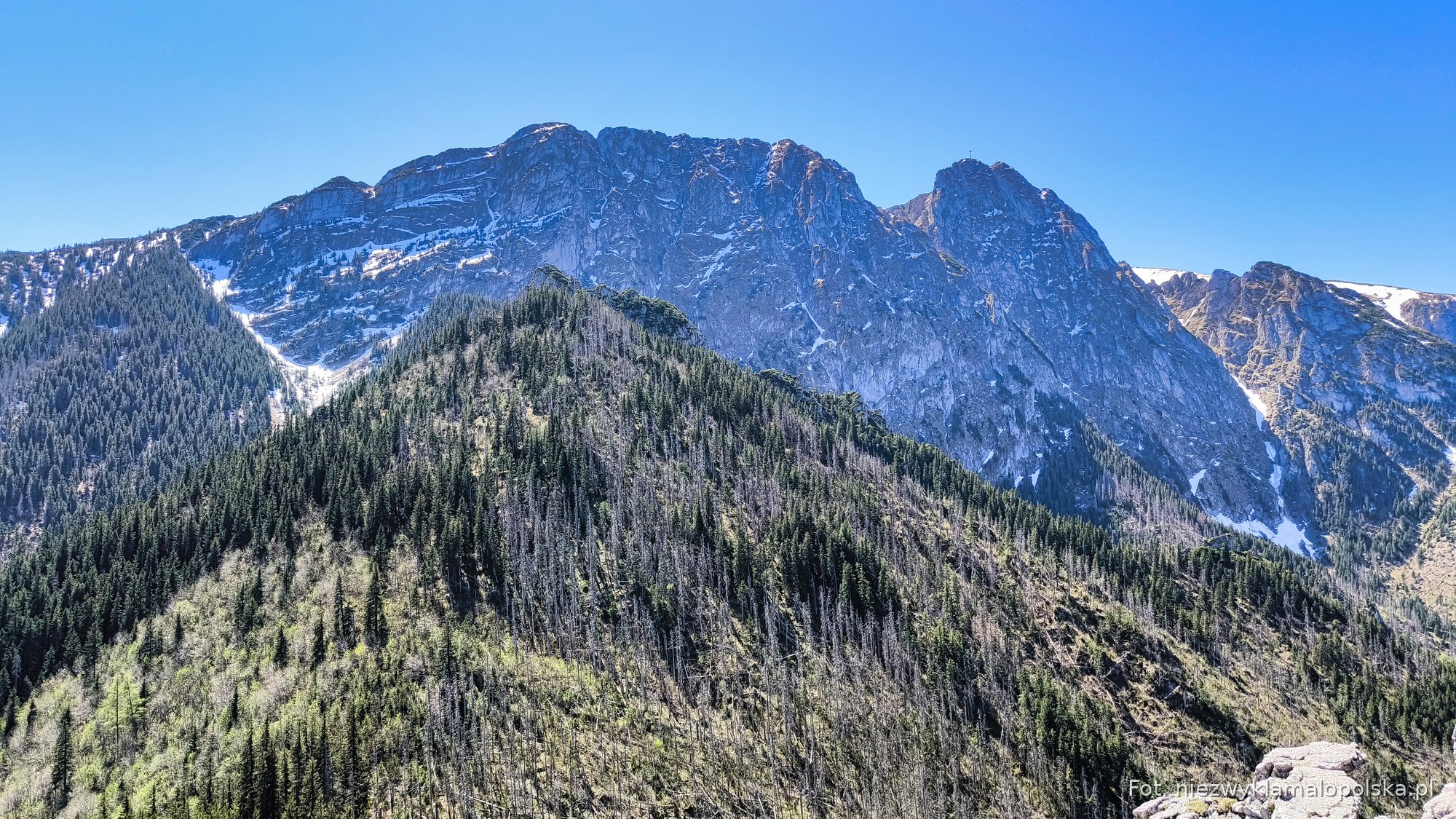 Giewont's limestone north face above the forested Strążyska valley, Tatra Mountains