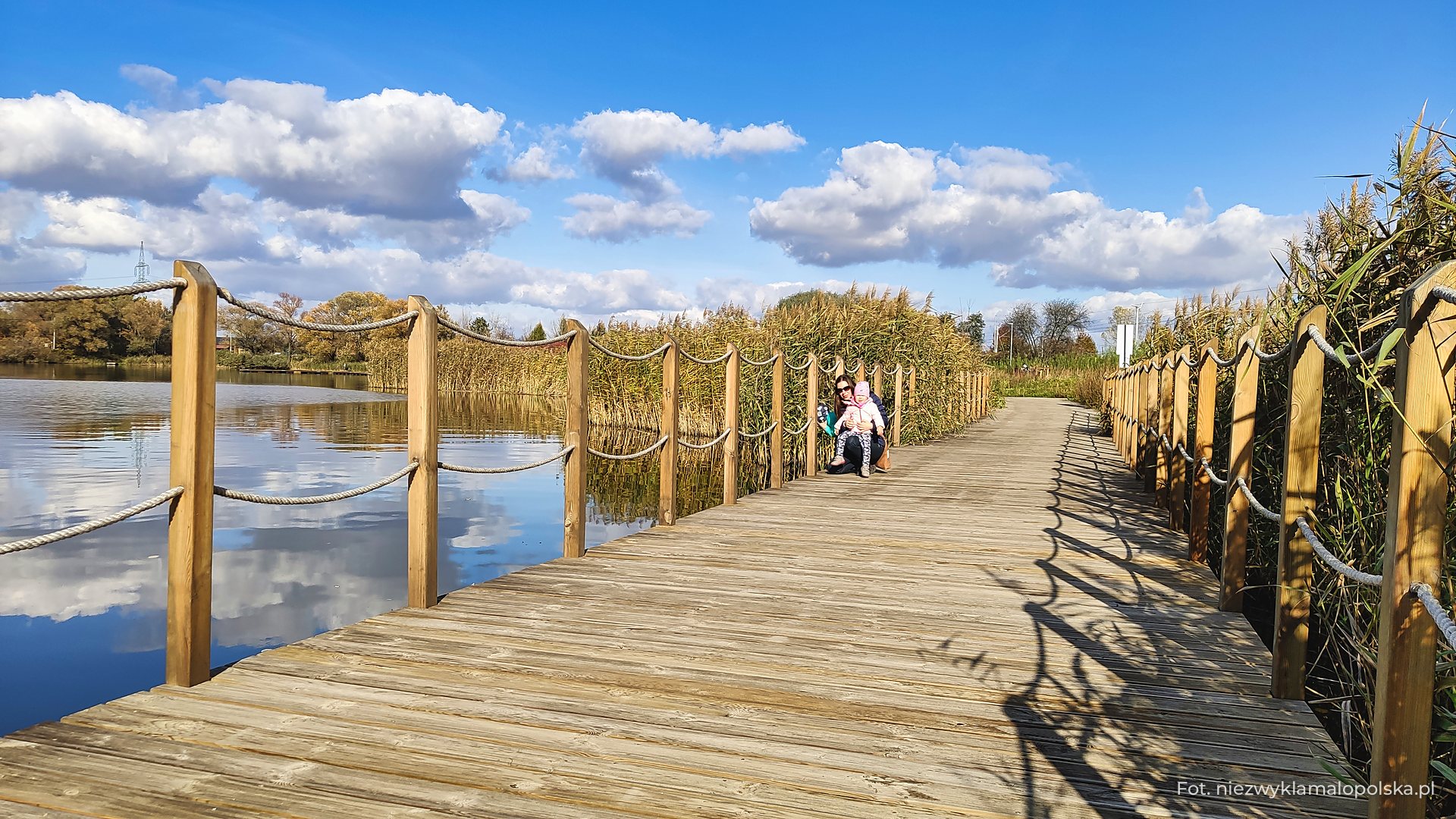 Long wooden boardwalk over the water between reeds at Przylasek Rusiecki in Kraków