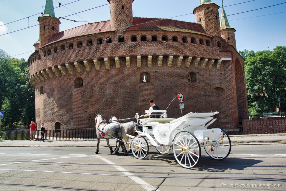 The round brick Barbican in Kraków with a horse carriage in front, start of the Royal Route