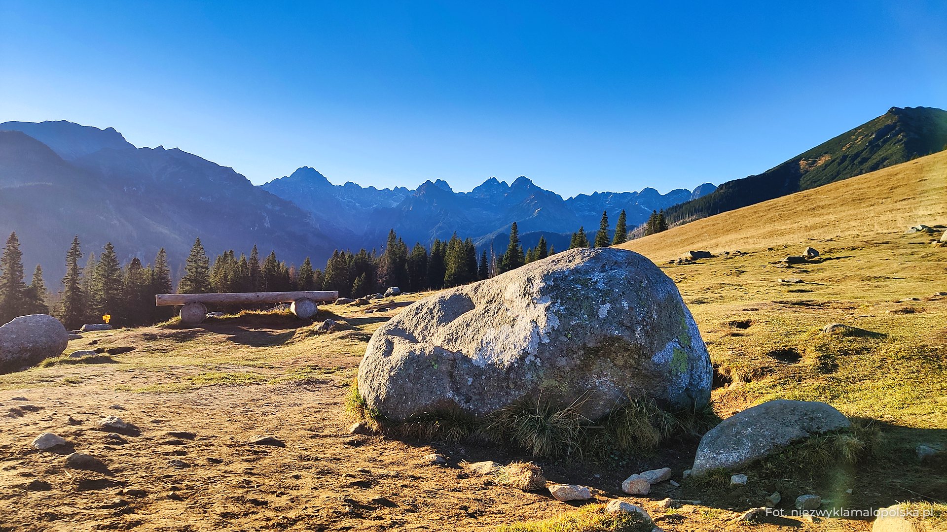 Głaz na Rusinowej Polanie i widok na Tatry Wysokie i Bielskie