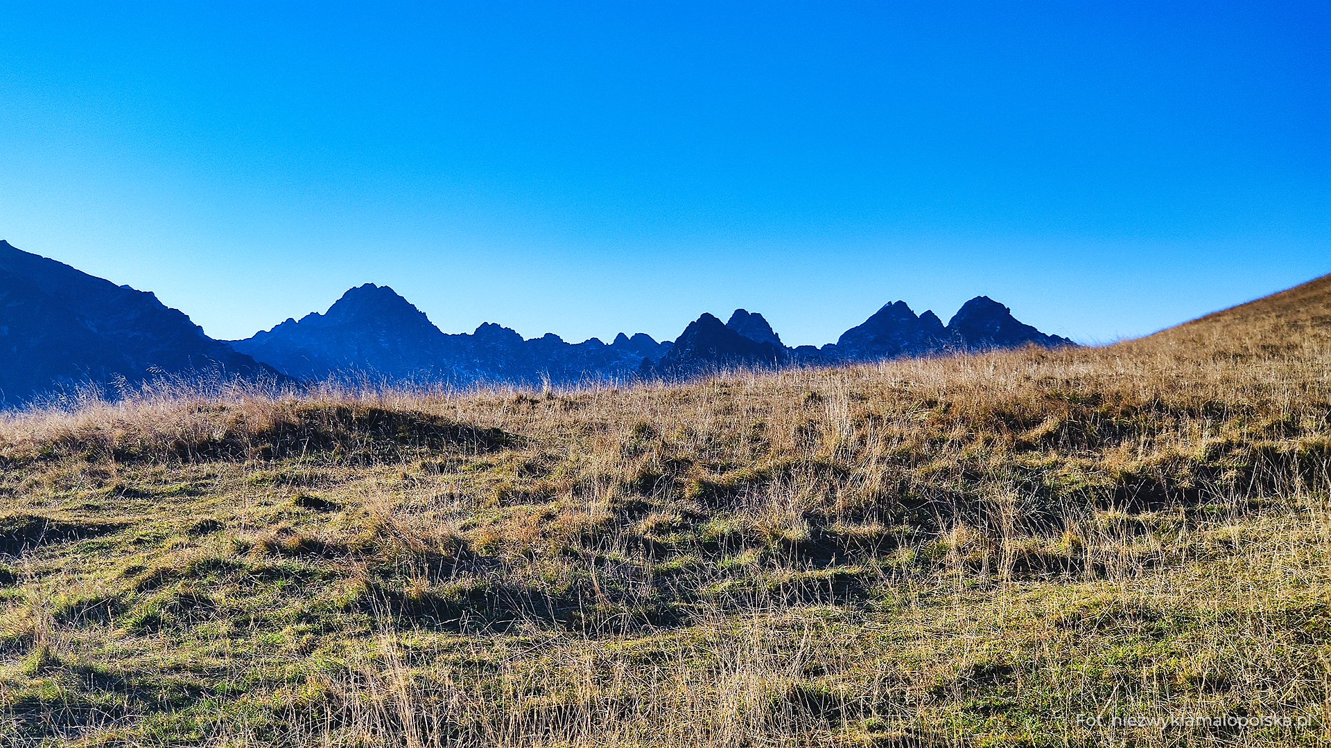 Panorama of the High Tatras from Rusinowa Polana meadow, autumn grass in the foreground